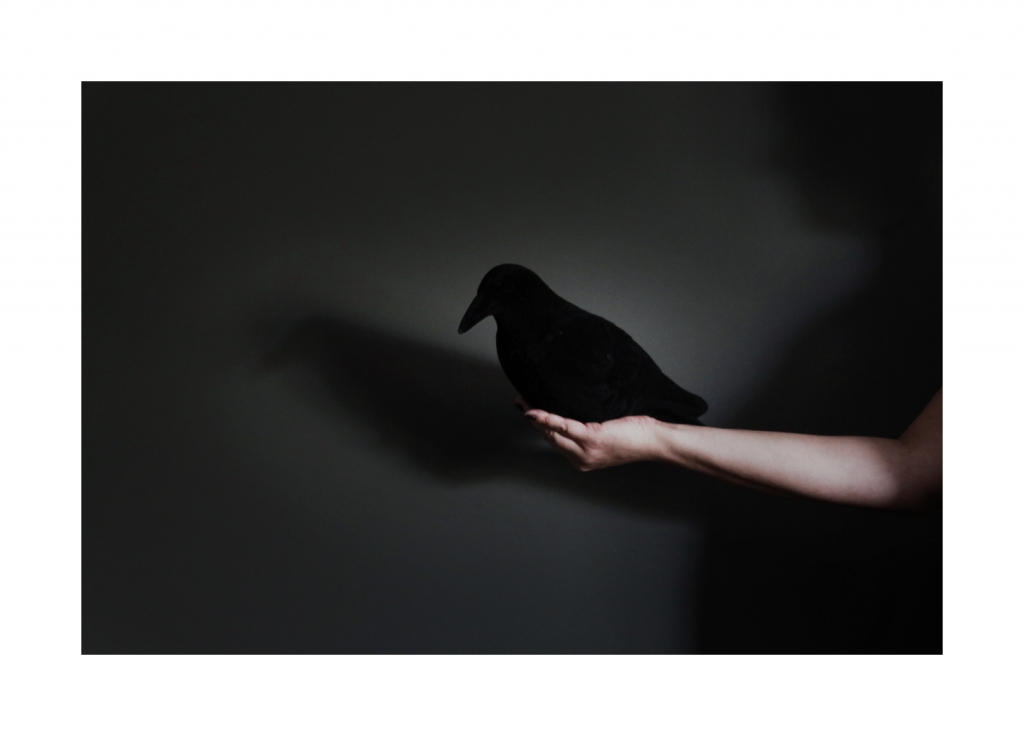 AMBIVALENCE des SENTIMENTS